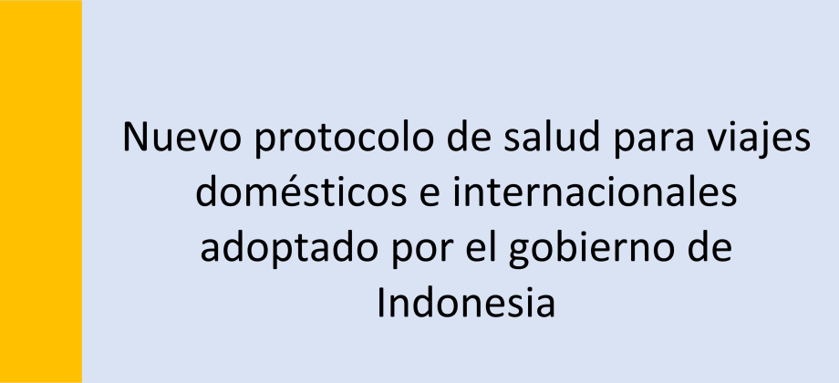 Nuevo protocolo de salud para viajes domésticos e internacionales adoptado por el gobierno de Indonesia